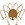 Arachnée Arachnée